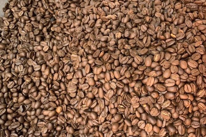 Organic Coffee Farm, Discover How to Make Specialty Coffee Da Lat - End Point Information