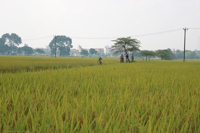 Outskirts Hanoi Cycling Tour Half-Day - Sightseeing Stops