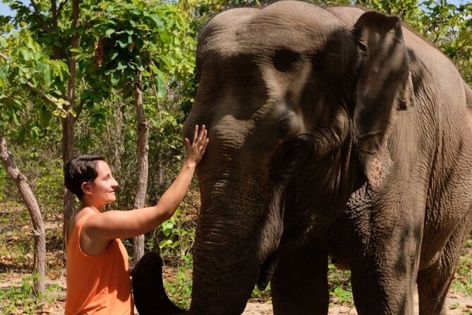 Phnom Tamoa Wildlife Rescue Center, Buddha Kiri Cambodia Day Tour - Cultural Immersion