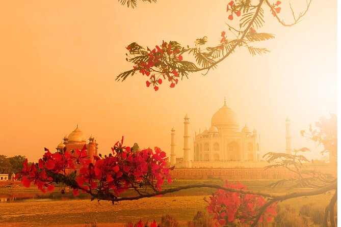 Private Agra Taj Mahal Overnight Tour - Taj Mahal Sunrise/Sunset - Sightseeing Schedule