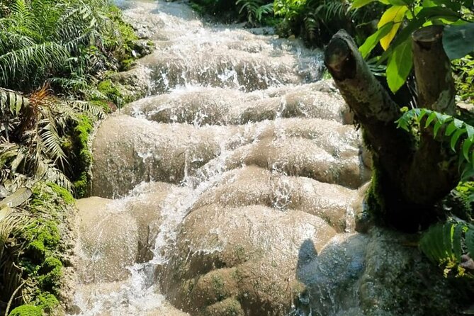 Private Bua Thong Sticky Waterfalls Sightseeing Half Day Tour - Additional Details