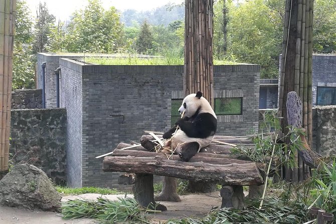 Private Chengdu Panda Base Day Tour by Round-Way Flight From Guangzhou - Pickup Details