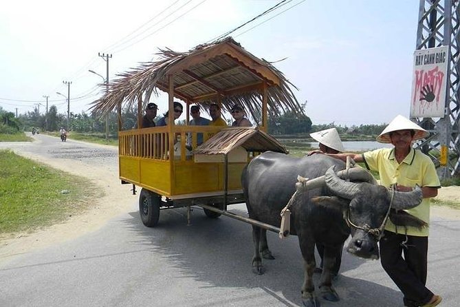 Private Countryside With Buffalo Cart Tour - Half Day - Pickup Information
