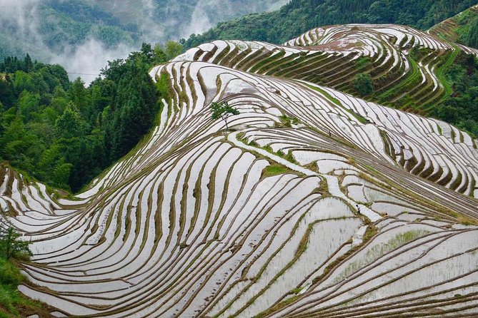 Private Day Tour to Longji Rice Terraces From Yangshuo - Price and Booking