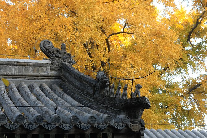 Private Day Tour to Tanzhe Temple, Jietai Temple & Summer Palace With Lunch - Pricing