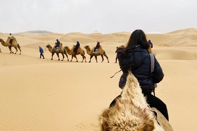 Private Day Tour to Xiangshawan Desert From Hohhot - Pricing and Booking