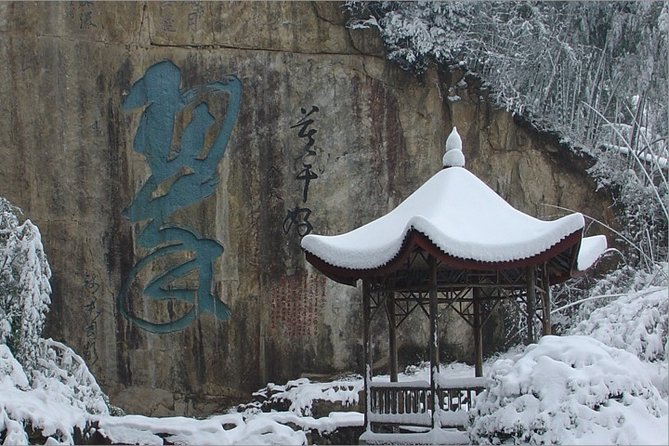 Private Day Trip to Mogan Mountain From Hangzhou - The Sum Up