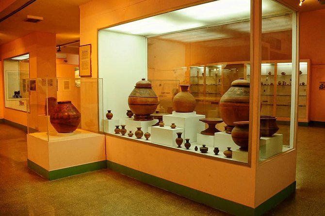 Private Full Day National Museum Tour in Delhi - Pricing and Reservation Details