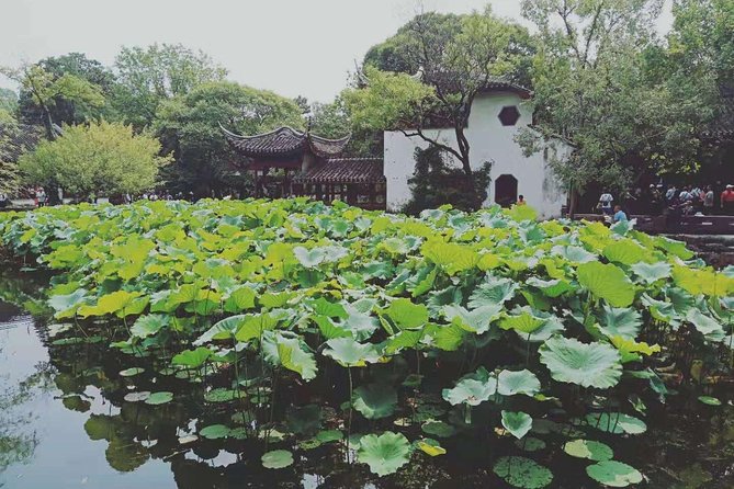 Private Full-Day Tour From Shanghai Featuring Both Classical and Modern Suzhou - Accessibility and Amenities