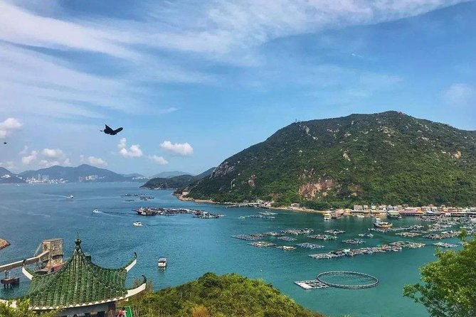 Private Hong Kong 2-Day Package Tour Including Seafood Lunch - Additional Tips and Recommendations