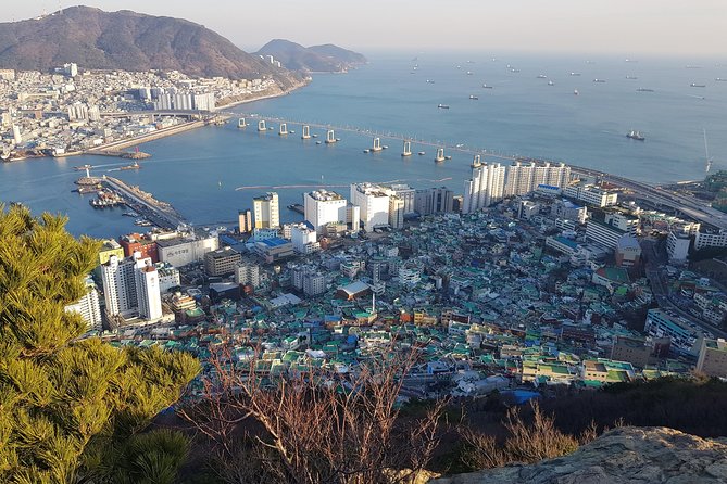PRIVATE MORNING HIKING TO SEE THE SPECTACULAR BUSAN CITY VIEW (326m / 1,070ft) - Pricing and Booking Details