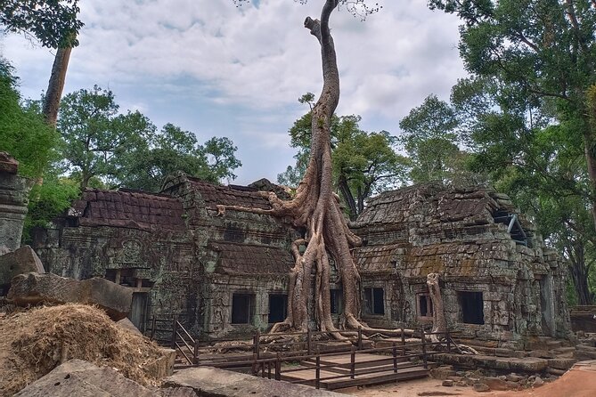 Private One Day Trip to Explore Angkor Temples - Temple Ticket Details