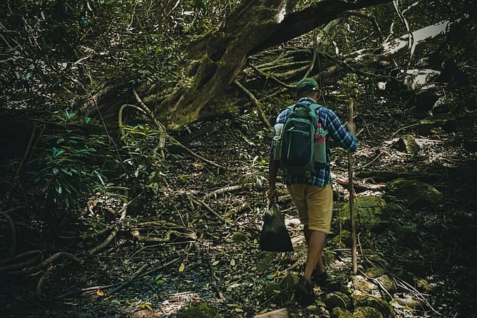 Private Overnight Adventure Tour to Knuckles and Meemure Village With Camping - Camping Experience