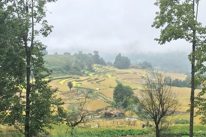 Private Overnight Tour to Yuanyang Rice Terraces From Kunming - Booking Information