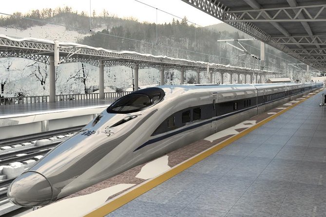 Private Pingyao Bullet Train Trip to Xian: Terracotta Warriors and City Wall - Additional Info