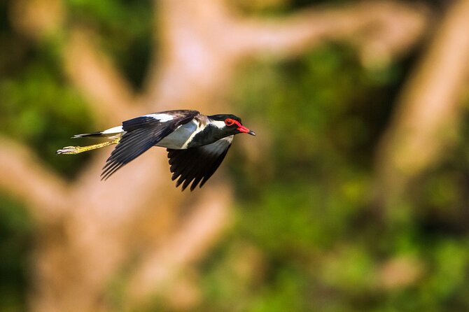 Private Tour Bundala National Park Safari From Hambantota - Included Services