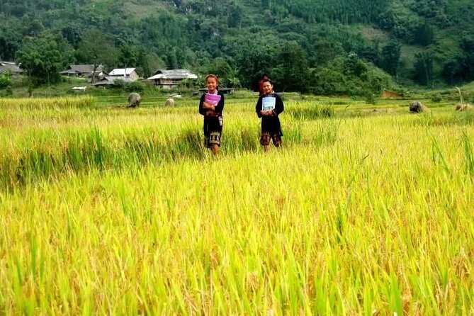 Private Tour in the Tribal Villages of Vietnam - Itinerary Overview