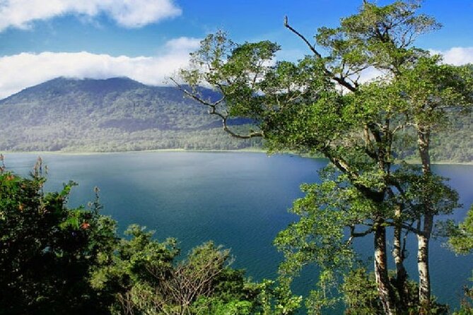 Private Tour The Magical Sekumpul Waterfall in The North of Bali - Additional Information and Requirements