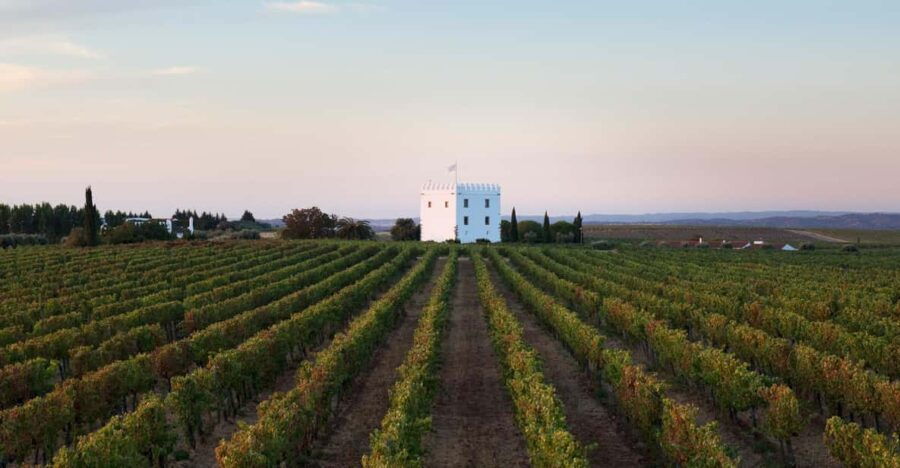 Private Tour to Discover Alentejo Wines - Tour Overview
