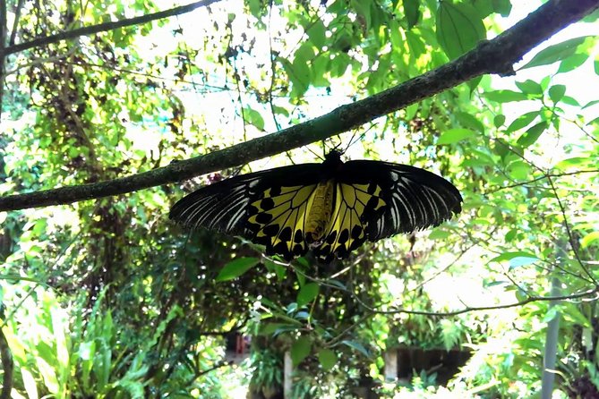 Private Tour to Kuala Lumpur Nature and Garden Iconic Locations - Pricing and Reservation