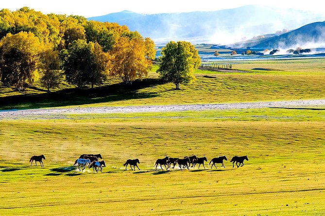 Private Transfer Service: 2-Day Wulan Butong Grassland From Beijing - Booking Instructions