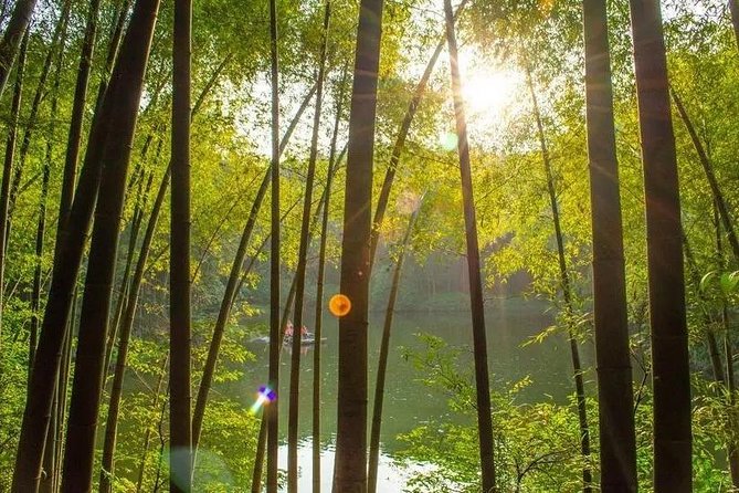 Private Two-Day Shunan Bamboo Forest With Farmhouse Stay - Additional Details