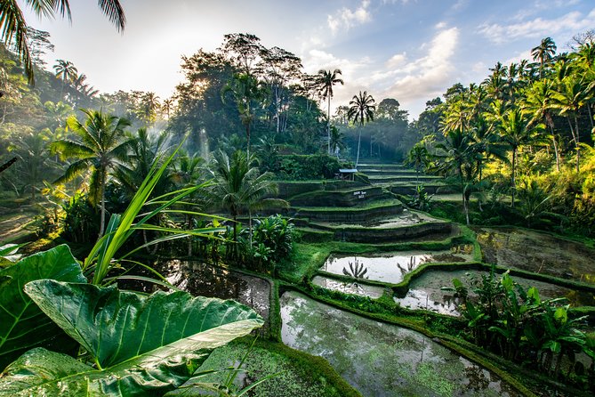 Private Ubud Walking Tour - Booking and Cancellation Policy