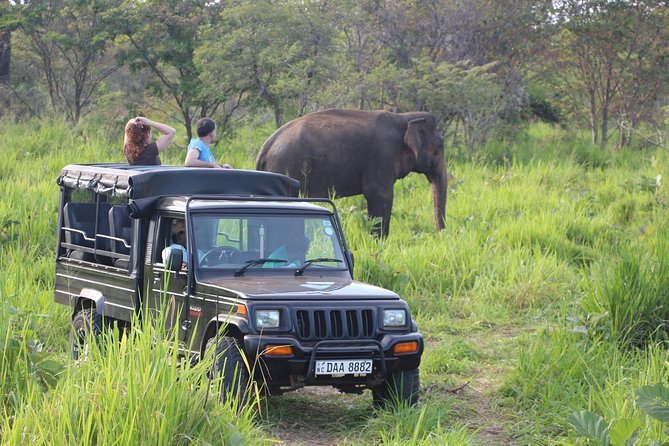 Private Wildlife Safari to Hurulu Eco Park - Pickup Points Information
