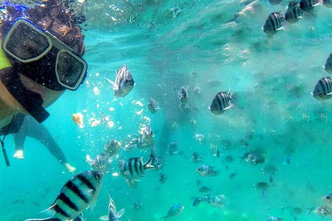 Pulau Payar Snorkeling Tour in Langkawi - Important Reminders