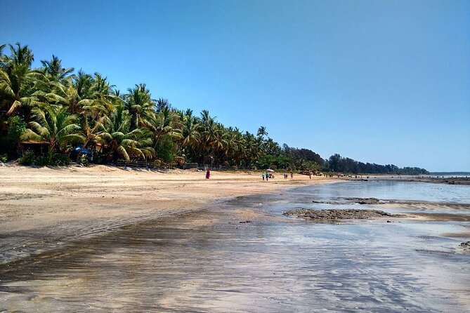Pune to Alibaug Beach Tour - Transportation Information