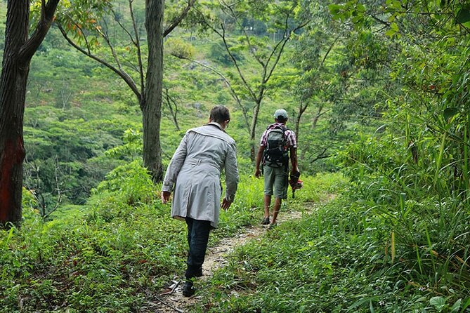 Rainforest Explorer From Bentota (2 Days) - The Sum Up