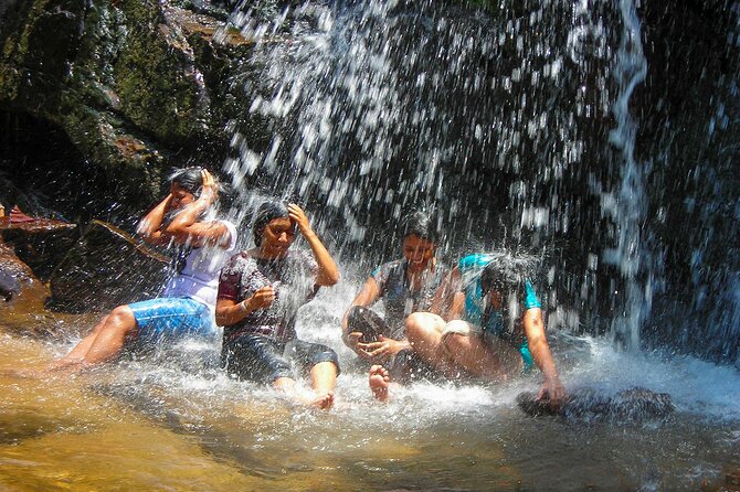 Rainforest Trekking in Kitulgala - Booking Options