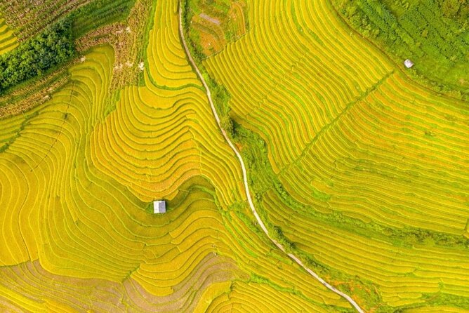 Remote Sapa Tour in Countryside of Nam Cang – Nam Nhiu Villages - Local Guide Experience