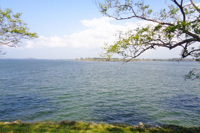 Ritigala, Kala Wewa, and Namal Uyana From Dambulla - Exclusions in the Tour