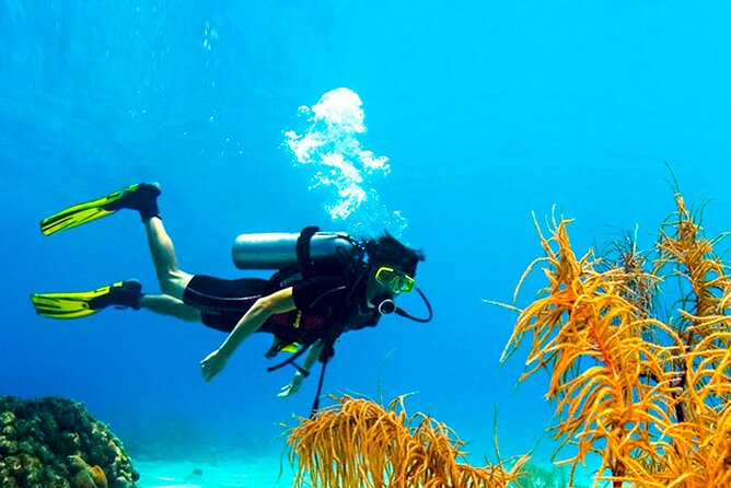 Scuba Diving in Trincomalee - Price & Booking: How to Reserve