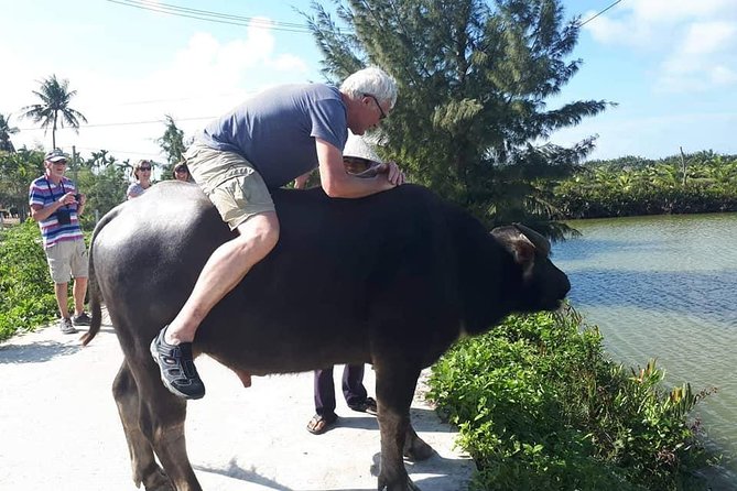 Shore Excursion From CHAN MAY or TIEN SA Port to HOI an COUNTRYSIDE &HOI an CITY - Transportation and Guide