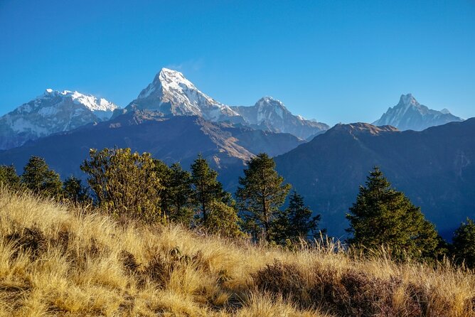 Short Ghorepani Poon Hill Trek – 2 Days - Booking Information