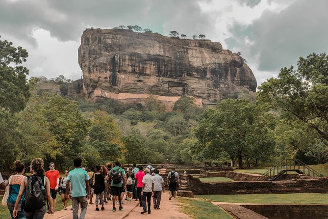 Sigiriya Rock and Wild Elephant Safari From Dambulla - Inclusions and Exclusions