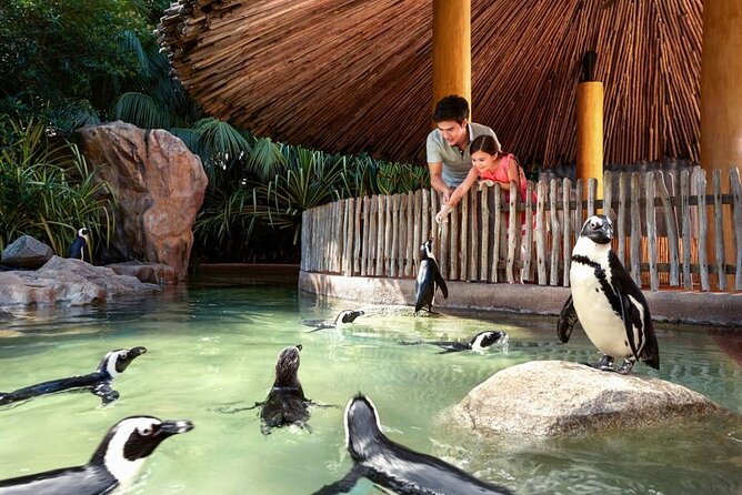 Singapore Zoo - Child Admission