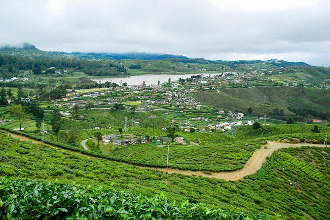Single Tree Hill Hike From Nuwara Eliya - Meeting and End Point Details