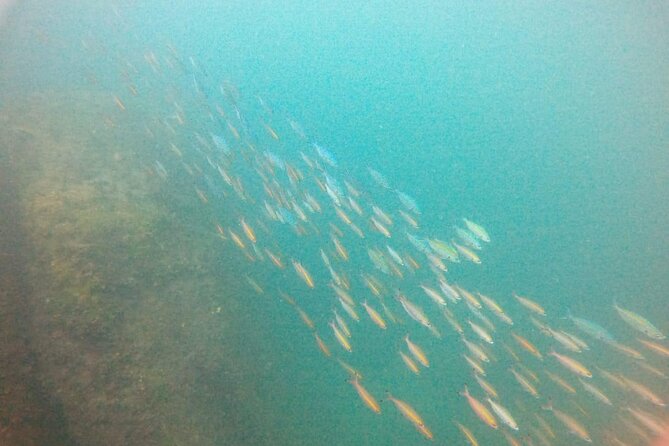 Small Group Snorkeling in Hikkaduwa - Inclusions