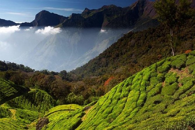 South India Tour - Inclusions and Exclusions
