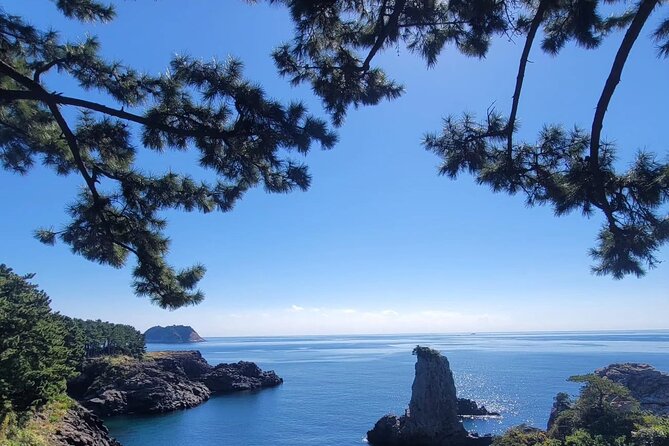 South of Jeju Private Jumbo Taxi Tour With Mr.Ko (Suhong) - What to Expect