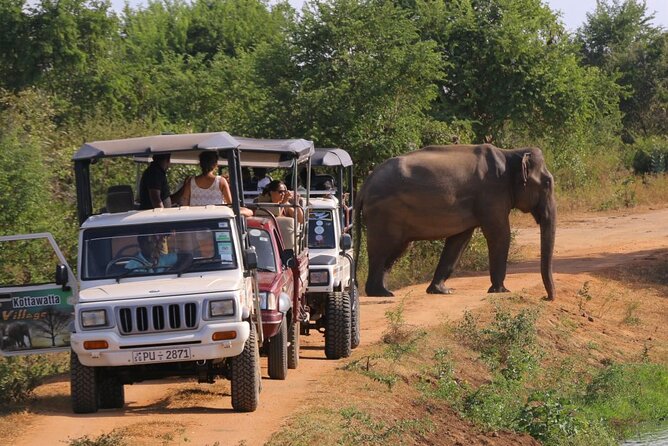 Srilanka Private 8Days Tour Friendly Chauffeur+Vehicle With & Without Hotel H/B - Additional Information