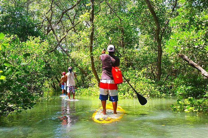 Stand up Paddle Lesson Bali With Professional Instructor - Pickup Information and Meeting Point