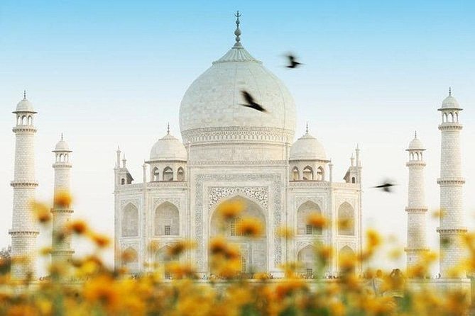 Sunrise Taj Mahal Tour - Booking Information