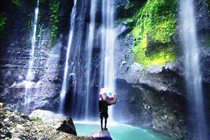 Surabaya-Bromo-Ijen Blue Fire-Bali, All Entrance Included - Meeting and Pickup Information