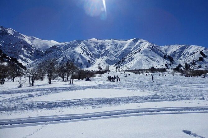 Tashkent Mountain Tour Amirsoy With Transport - Ratings and Reviews Summary