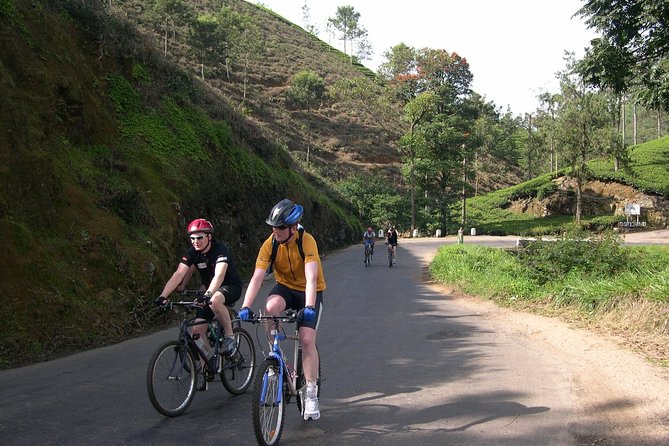 Tea Fields by Bicycle From Kandy - Start Time