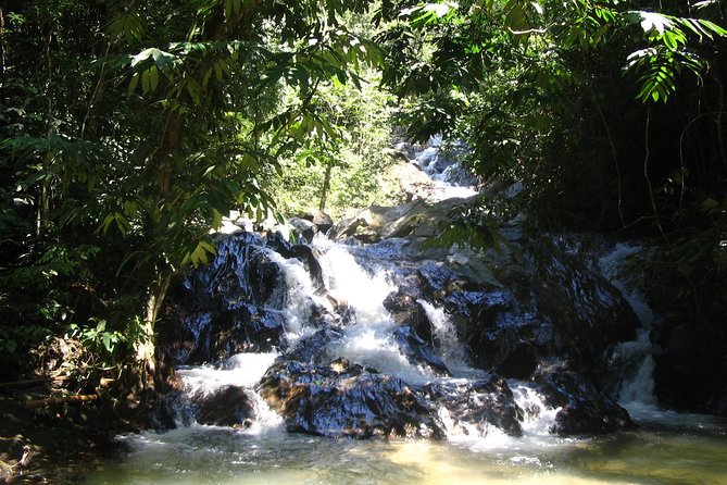 Templer Park Tour - a Rendezvous With Nature - Activity Information
